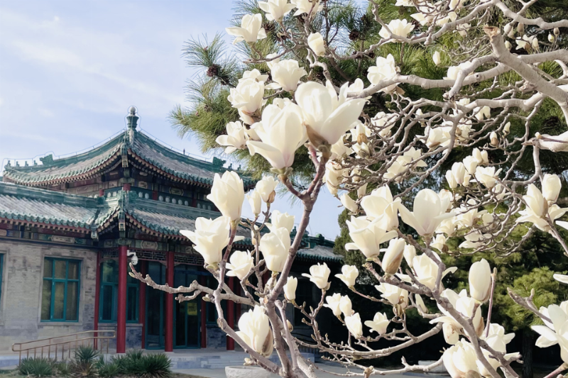 Vườn phong lan rực rỡ trên đảo Hoa Lan Nha Trang, nơi hàng trăm loài khoe sắc và tỏa hương dịu nhẹ